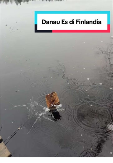 Ikan Unik di Danau Es Finlandia