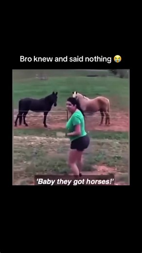 Bro knew 😂 #horsesontiktok #electricfence | fence
