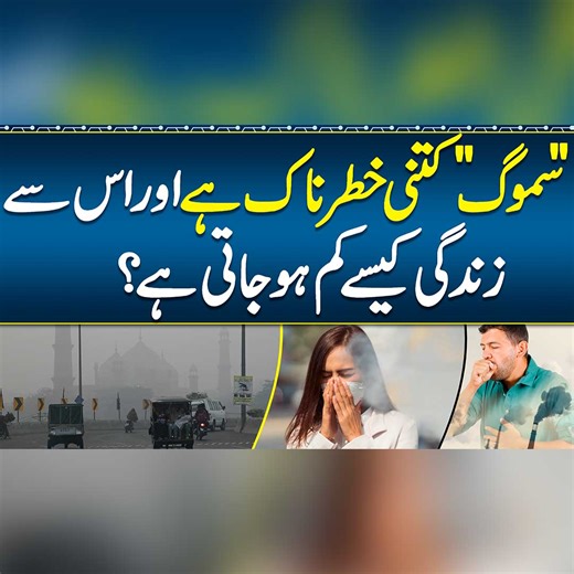 16K views · 63 reactions | Smog Se Bachne Ka Tarika - How Dangerous is Smog For Humans? - Smog Effects On Health & Prevention | Sehat Mand - Health & Lifestyle | Facebook