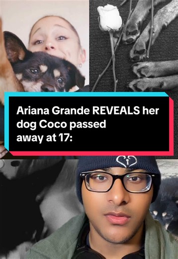 Ariana Grande REVEALS her dog Coco passed away at 17: Ariana takes to her Instagram to share a lovely tribute dedicated to her dog Coco who passed away at the old age of 17. Ariana first adopted Coco in 2010. She has gave Coco a fun and liberated life and was with her all the way to the end. Rest in peace Coco🐶❤️‍🩹 #arianagrande #arianagrandenews #arianagrandecoco