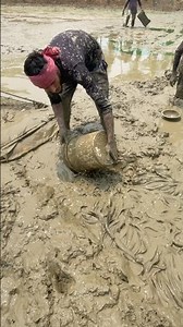 Easy Techniques for Catching Shing Fish 🐟