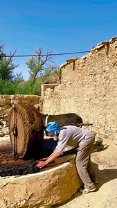 864K views · 9.2K reactions | From harvest to press, this is how olive oil has been made in Morocco for generations. Hand-picked olives, stone mills, and slow cold pressing — a patient process that preserves flavor, purity, and tradition. More than oil, it’s heritage passed down through families and villages, season after season. #moroccoshinydays #morocco #oliveoil #tradition #heritage | Morocco Shiny Days | Facebook