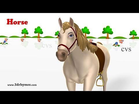 Learn Animals Song - 3D Animation Animals Video for Kids