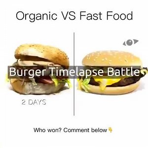 Who won? See the surprising end of the full Video on YouTube https://youtu.be/-f4tFzboDfI Follow TEMPONAUT Timelapse for more! | TEMPONAUT Timelapse