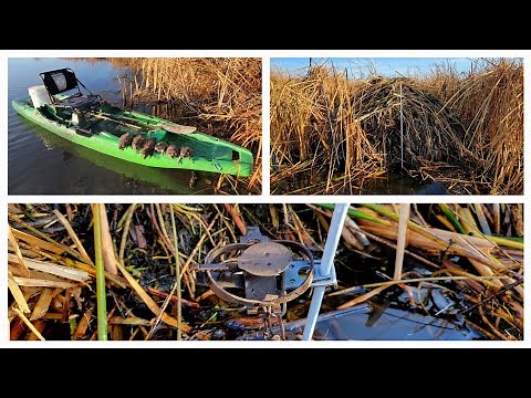 Open Water Muskrat Trapping From a Kayak (Hagz Bracket System)