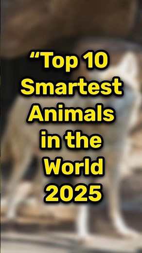 Top 10 Smartest Animals in the World 🧠 | Most Intelligent Animals 🌍
