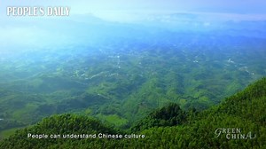 14K views · 269 reactions | As the world’s largest bamboo forest, the Shunan Bamboo Forest in southwest China’s #Sichuan sprawls across the land for over 120 square kilometers, serving as a vigor vegetation to local ecology. #GreenChina | VideoChina | Facebook