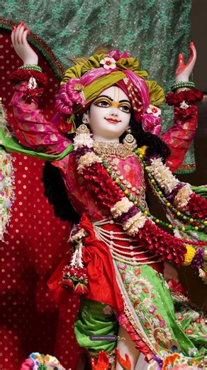 Today's Darshan | 8th July 2026 #youtubeshorts #shortvideo @ISKCONNVCCPune