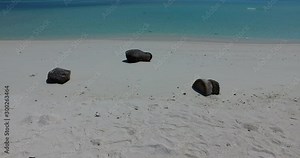 Pieces of palm tree trunk widespread on white beach like ancient wooden sculptures of idyllic world of tropic
