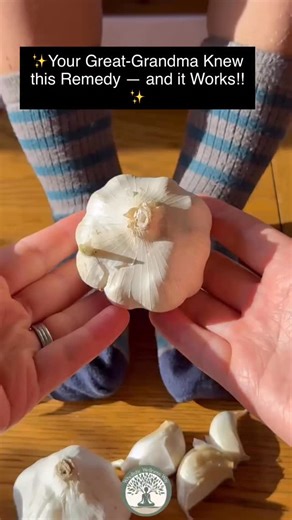 Long before pharmacies and pills, every mother knew how to reach for garlic — not just for dinner, but for healing. Garlic wasn’t only food; it was medicine. A humble bulb tucked away in the pantry could help with coughs, fevers, earaches, and infections — simple, natural, and always enough. One of the oldest folk traditions was placing crushed garlic inside socks when a child had a fever. Sounds a little wild, right? Almost too simple to be real medicine — but the wisdom runs deep. Here’s why i