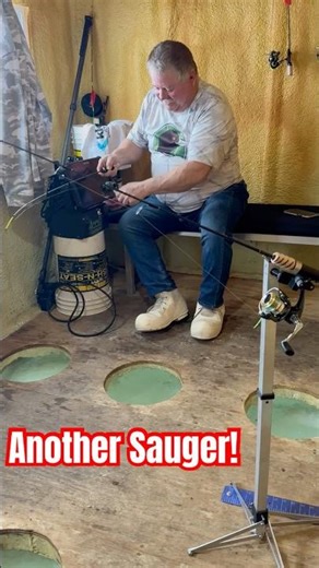 🦆ANOTHER SAUGER‼️🧊🎣#cootslures #wigwam #icefishing #Minnesota #lakeofthewoods #letsgofishing