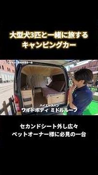 A Camper Van for Traveling with 3 Large Dogs🚐🐾 Introducing an owner's custom interior designed fo...