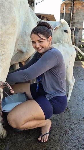 Hand Milking a Cow 🐄 | Traditional Village Life & Fresh Milk Process #villagelife #farming