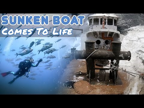 What Happened to The Sunk Tugboat