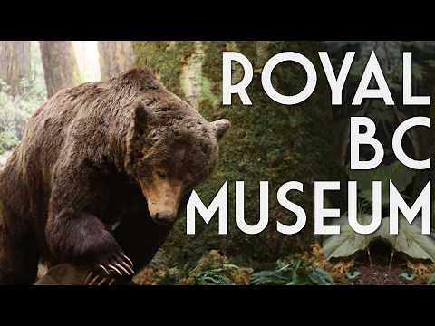 Visiting the Royal BC Museum | Old Town, Mammoth & Immersive Exhibits