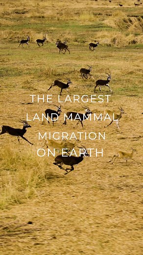 2K views · 965 reactions | It's official – South Sudan hosts the...