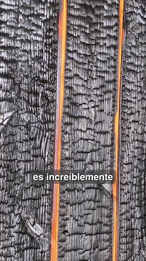 Tres Maneras de Trabajar la Madera Negra