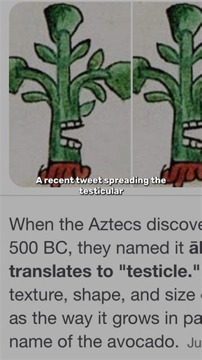 8.9K views · 18 reactions | Does the word "avocado" have a double meaning? | IFLScience | Facebook