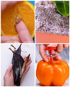 13M views · 77K reactions | Plant Parenting Hacks That Will Make Your Plants Grow Big and Strong! Shop gadgets here: https://www.amazon.com/shop/firstmediablossom/list/1UCBGXJAPWXCM | Blossom | Facebook