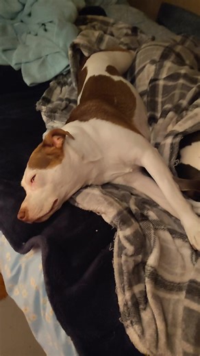 Stephanie Cole on Reels