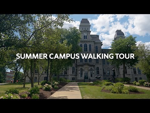 Peaceful Summer Day Walking on Campus | Lofi Beats + Nature ASMR