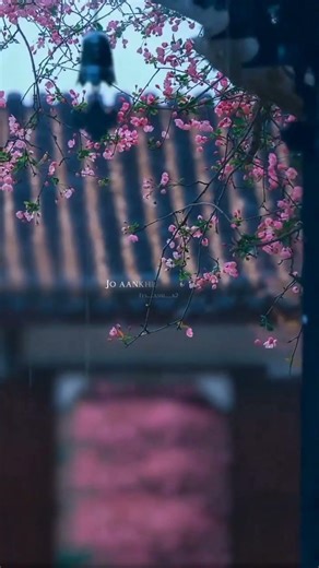 HASTE HASTE MAAR JAYE HUM ✨🥰 || SONG LYRICS EDIT ||#love #song #lyrics #shortvideo #trending #shorts