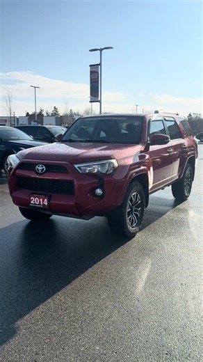 Built to Last: 2014 Toyota 4Runner SR5 | Quick Walkaround in London Ontario