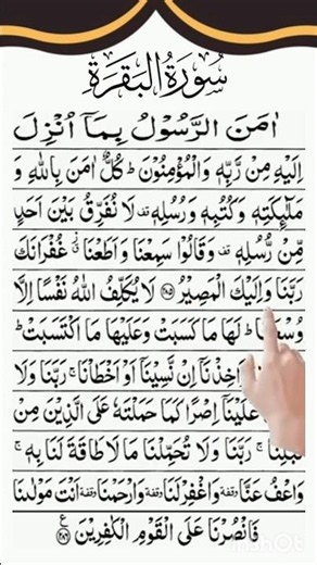 Surah Baqarah | Heart-Touching Quran Recitation 🤍 | Peace & Tranquility