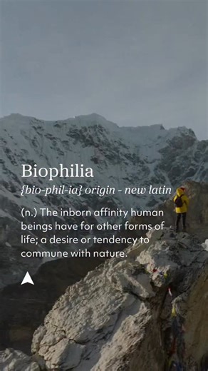 Here’s our word of the day! 💬 For all the nature lovers 🌳✨ Biophilia – (n.) The inborn affinity human beings have for other forms of life; a desire or tendency to commune with nature. #wordoftheday #naturelovers #naturewords #ausgeo #biophilia | Australian Geographic
