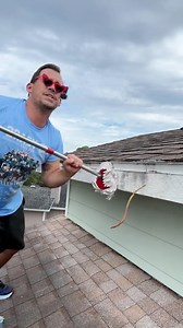 5.5M views · 130K reactions | Cleaning the top of my house for the first time #clean #cleaning #cleantok | Joey Foo | Facebook