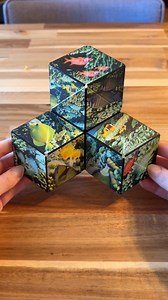 1.3K views · 21 reactions | Watch the Shape Shifting Box transform! #asmrvideo #asmrsounds #puzzle #transformation #fidgettoys #adhdawareness #adhdsupport #autismmom #AutismAwareness #autismfamily | Café Moucha | Facebook