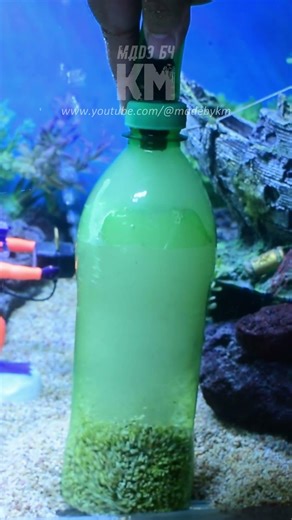 Cleaning Fish Tank with DIY Aquarium Siphon 🐟💧