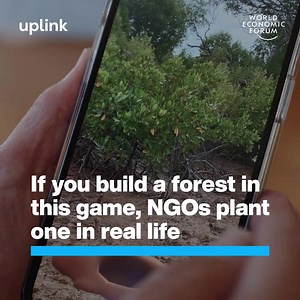 Gaps in nature finance, data gathering, and community engagement are holding back global #conservation efforts. To address these critical barriers, early-stage innovators worldwide are deploying bold new solutions. Carbon Counts has developed a mobile game in which gamers' actions lead to #trees being planted in the real world. Pivotal Future uses cutting-edge tech to capture the #biodiversity crisis and help businesses make the right investments. GroundUp Conservation empowers #grassroots enter