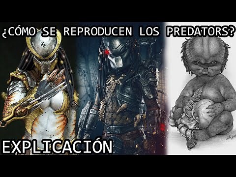 ¿Cómo se Reproducen los Predators? | El Ciclo de Vida y los Rangos de la Sociedad Yautja Explicados