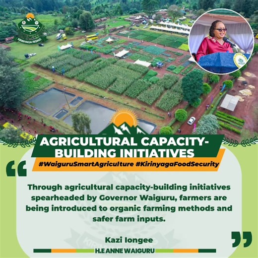CLIMATE-SMART AGRICULTURE DRIVING KIRINYAGA’S FARMING FUTURE Governor Anne Waiguru continues to strengthen agriculture in Kirinyaga by championing climate-smart farming, modern technologies and farmer training programs. Through initiatives such as the Wezesha Kirinyaga program and the annual farmers’ field day at Kamweti Agricultural TVET, farmers are gaining practical knowledge on improved crop varieties, livestock management, soil conservation and responsible agrochemical use. The programs als