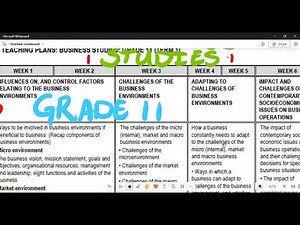 Business Studies Grade 11 ATP 2025 Term 1