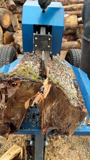 Splitting hard hemp #wood #woodworking #woodscraft