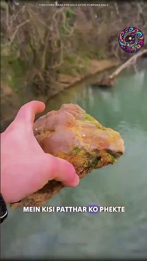 Throwing stone in water #science #sciencefacts