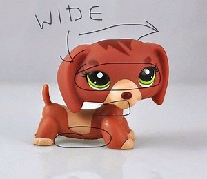 The Difference Between Fake and Real Dachshunds ❤️ | LPS Amino