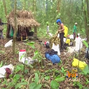 1.5M views · 21K reactions | #ไทยสารคดี ถ้ำหลุมยักษ์ในปาปัวนิวกินี Ep1 | ไทย สารคดี - Thai Documentary | Facebook