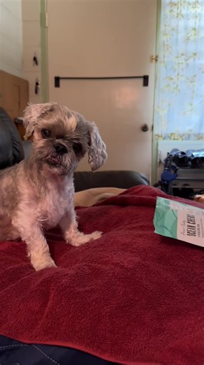 Gimme That Cod Skin Recipe for Dogs!