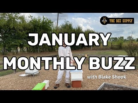 January Monthly Buzz Webinar 2026