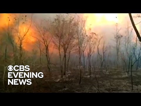 Fires rage across Amazon rainforest at record pace