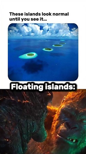 #transition 🏝️🥑