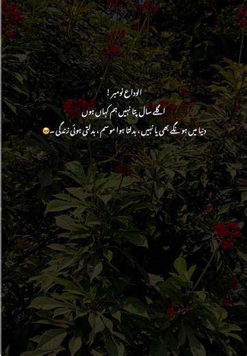 Reflecting on November: A Journey Through Poetry