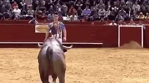 4.5K views · 164 reactions | Dancing with a Bull ‼️‼️ | Share.me | Facebook