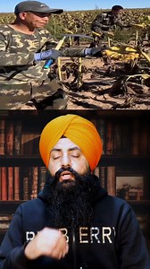 1.4M views · 10K reactions | Sunflower Spectacle: Amazing Farming Techniques for a Bountiful Harvest #SunflowerFarming #facts | JoT Tv Australia | Facebook