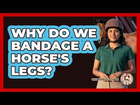 Why Do We Bandage A Horse's Legs?