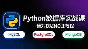 【B站精选课】Python数据库实战课｜MySQL PostgreSQL MongoDB（SQL优化 项目实战）全程干货，无废话