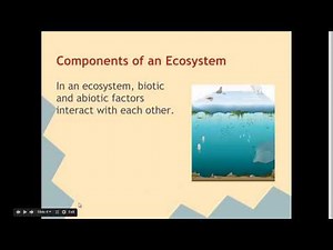 Ecological Terms